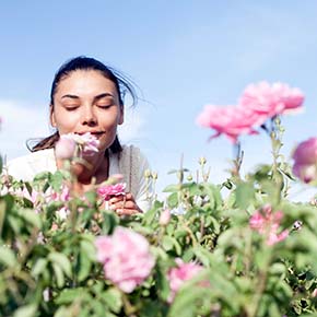 6 ways to train your sense of smell