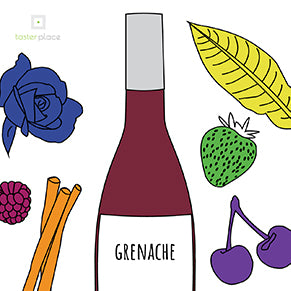 Grenache and its aromas