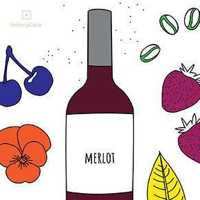 Merlot and its aromas