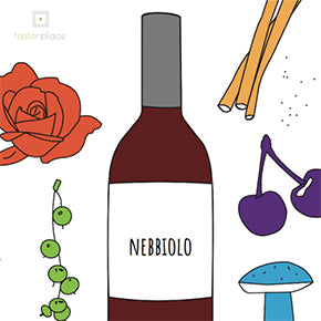 Nebbiolo