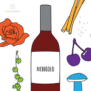 Nebbiolo and its aromas