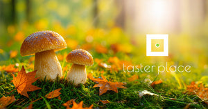 Mushroom aroma