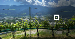 Mountain Aromas — Altitude in Wine Aromas