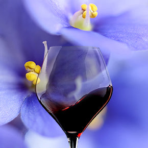 Flower aromas of red wine
