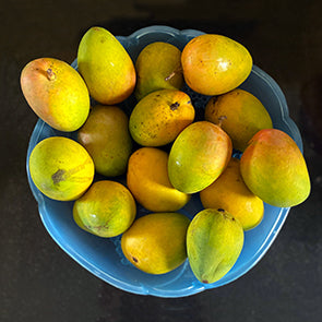 Mango, Pearl of the Orient: its history, myth and uses.