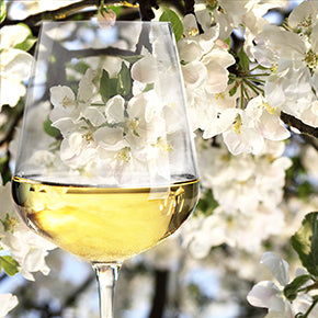 Flower aromas of white wine